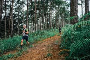 BIB: 
                            <button type="button" onclick="openModal(25690777)" class="btn btn-primary btn-sm float-right btn-popup" data-toggle="modal" data-target=".modal-high-quality">
                        <i class="fas fa-shopping-cart"></i> Add to Cart
                    </button>
                                            <button type="button" onclick="isThisMe(25690777, true)" class="btn btn-success btn-sm float-right btn-popup btn-isme hidden" data-toggle="tooltip" data-placement="bottom" title="นี่คือรูปของคุณใช่ไหม คลิกที่นี่เพื่อเอาเข้าอัลบั้ม">
                        <i class="fas fa-plus"></i> Add to album
                    </button>
                    <button type="button" onclick="isThisMe(25690777, false)" class="btn btn-warning btn-sm float-right btn-popup btn-isnotme hidden">
                        <i class="fas fa-ban"></i> Remove from album
                    </button>